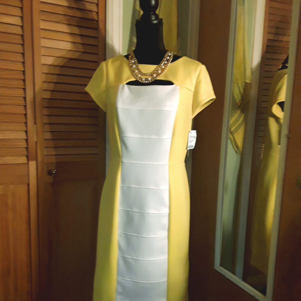 Knit shealth Dress
